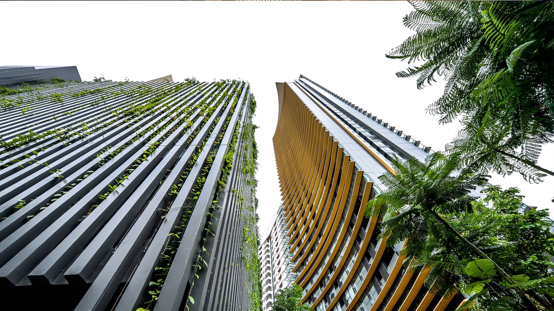 The Lumpini 24 tower facades viewed from below