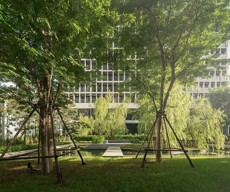 Noble Ploenchit landscaped garden with mature trees