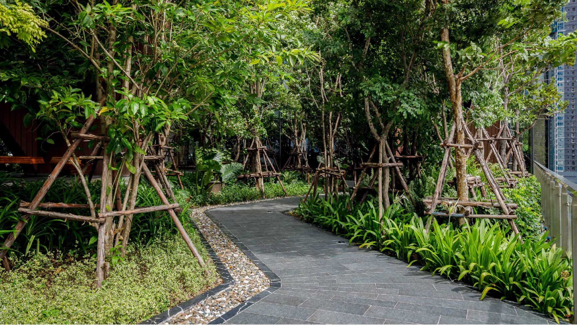 One 9 Five Asoke - Rama 9 forest garden pathway