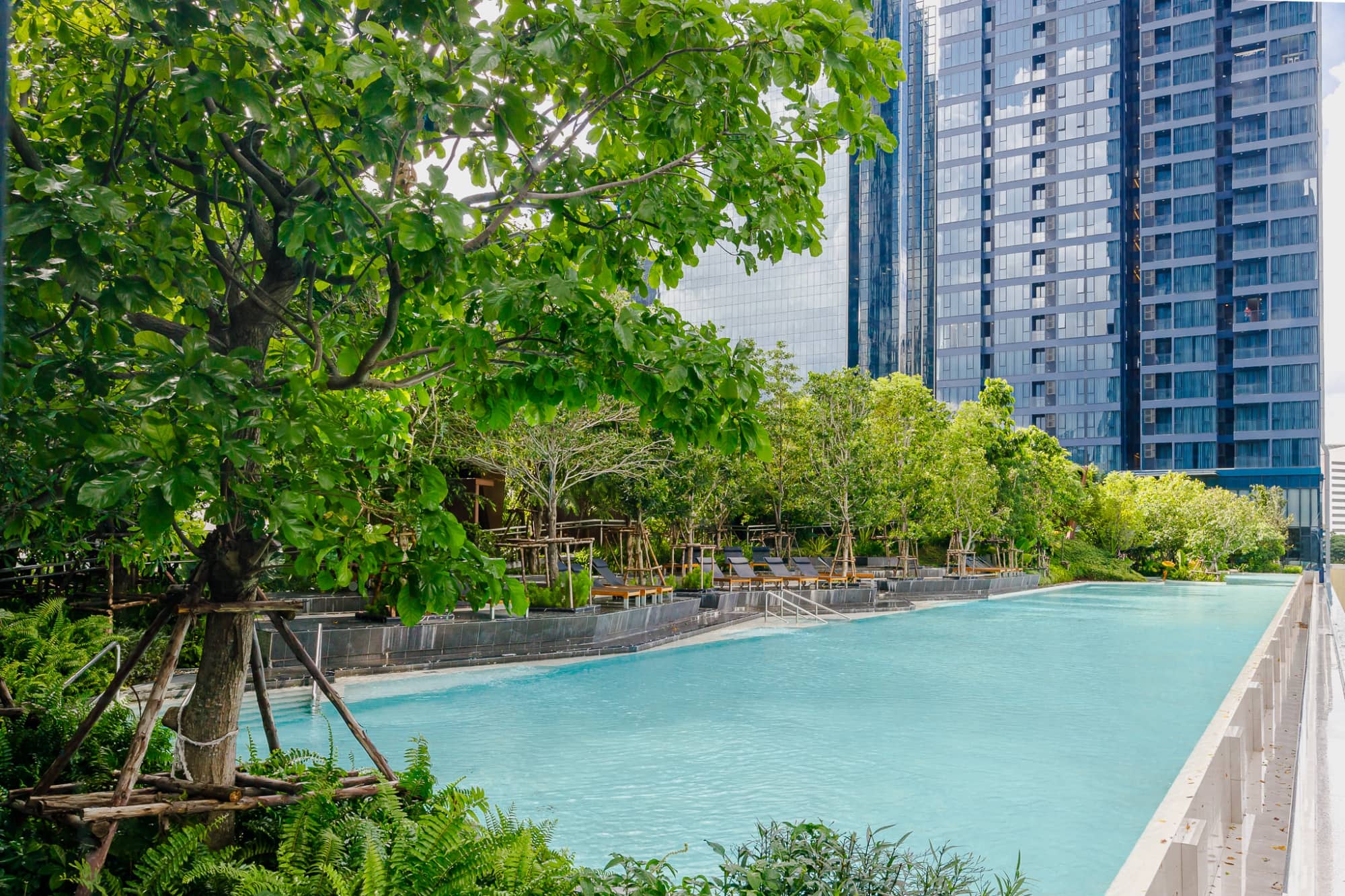 One 9 Five Asoke - Rama 9 swimming pool and garden by day